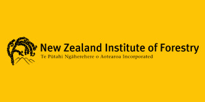 NZIF